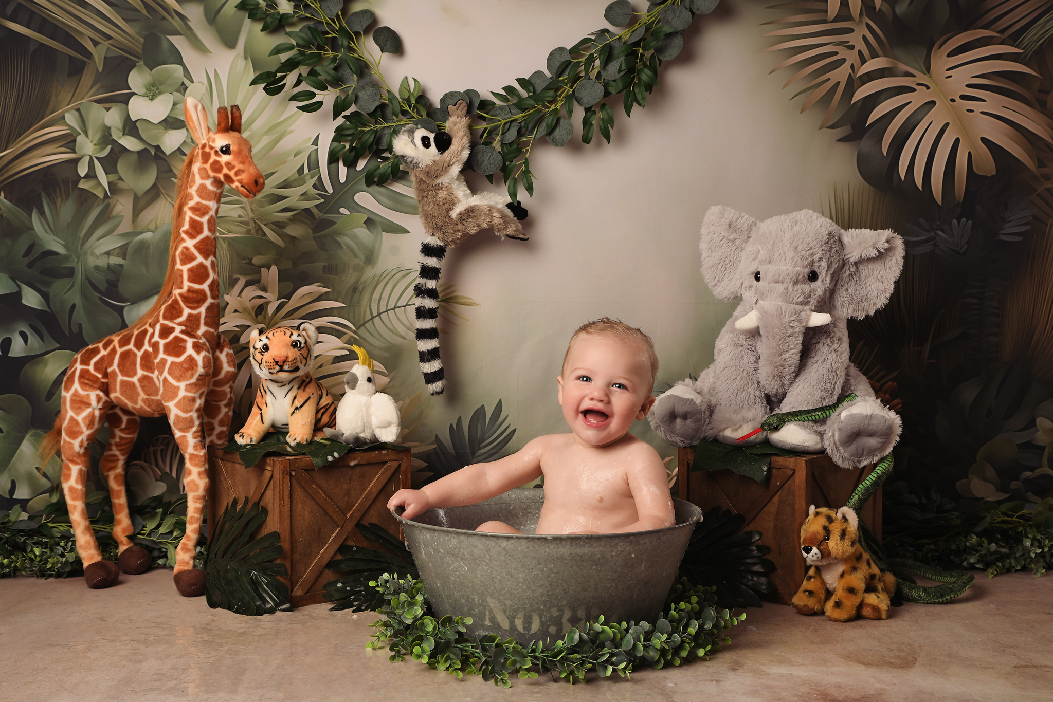 jungle4