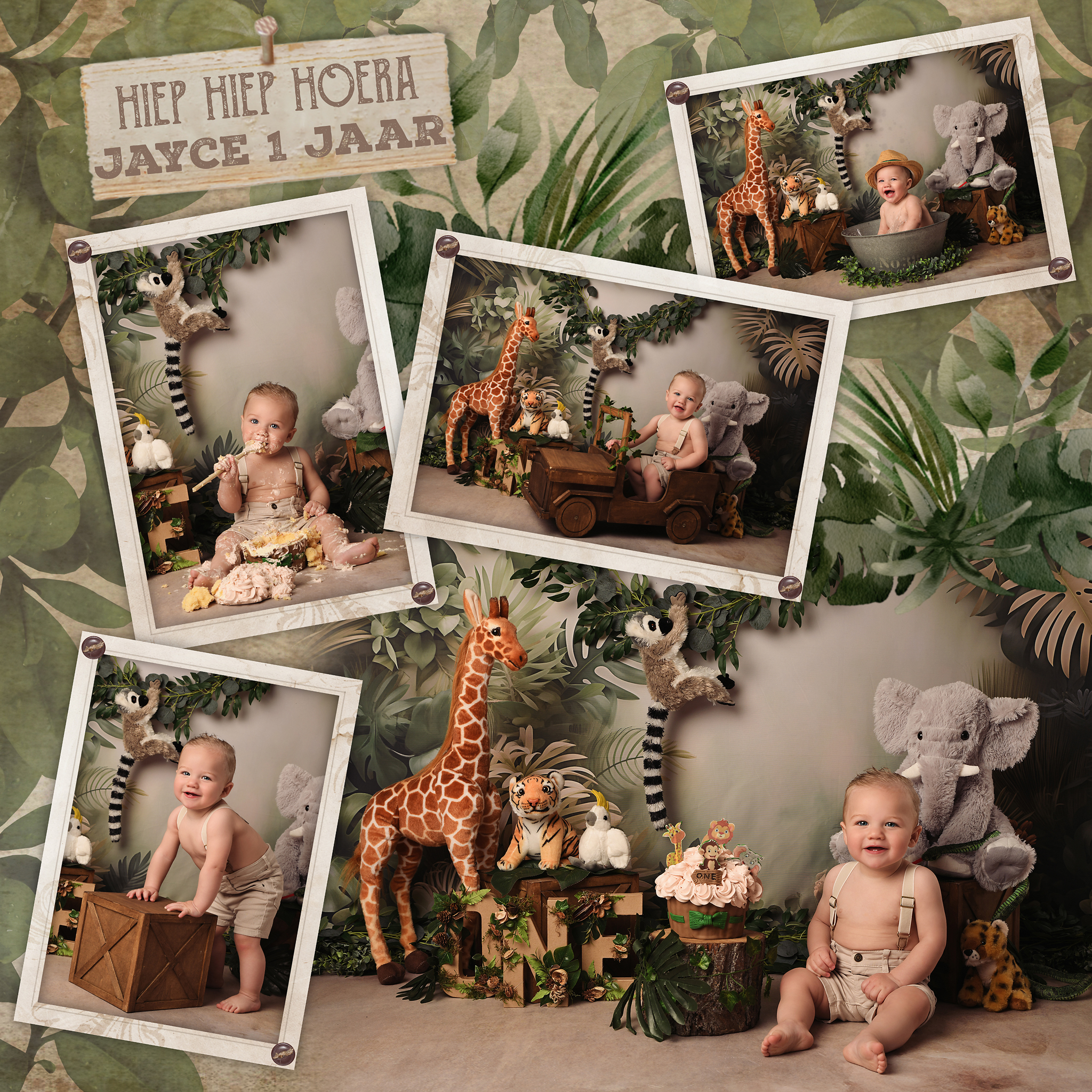 jungle5